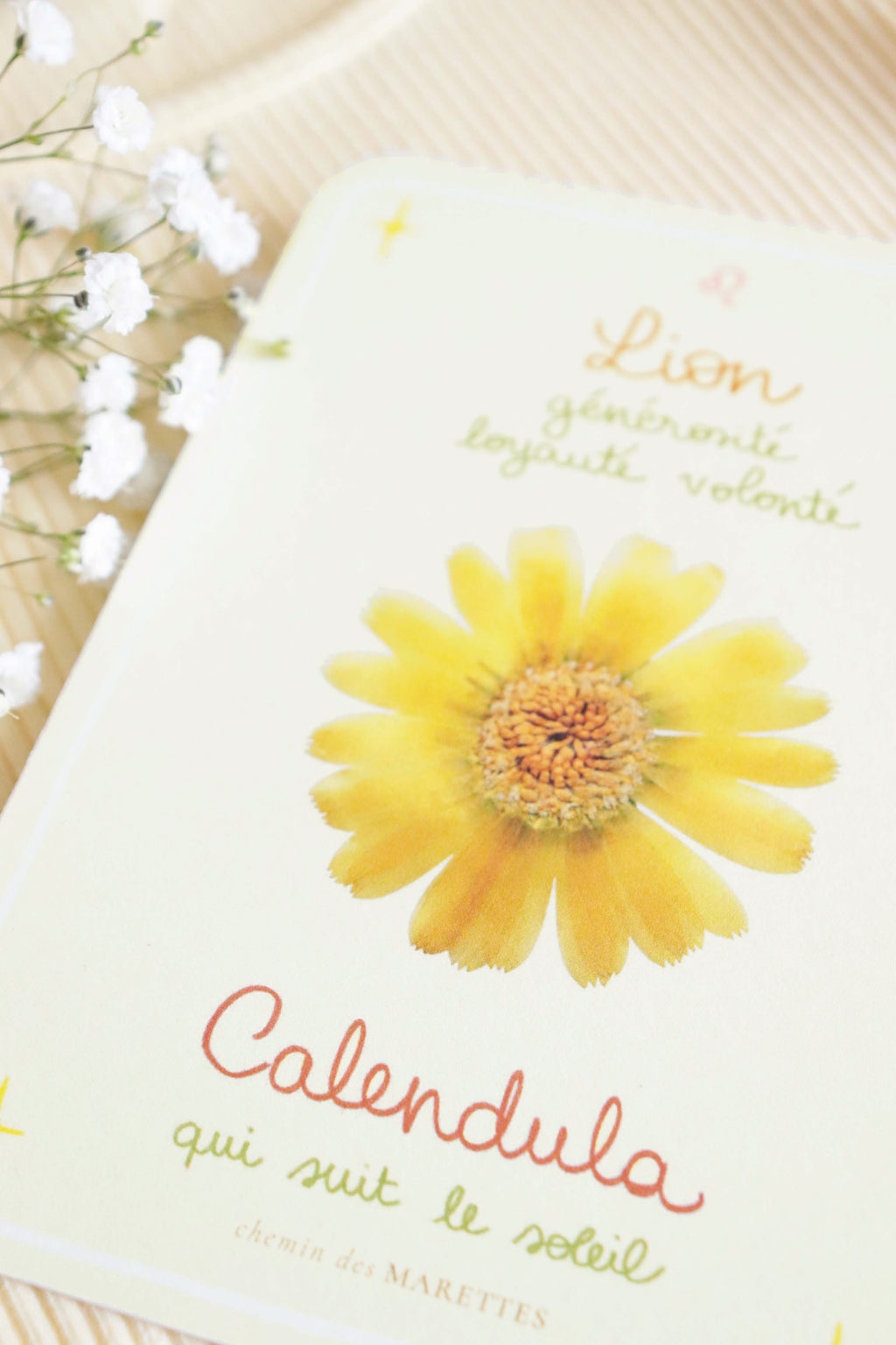 Floroscope - 12 cartes signes