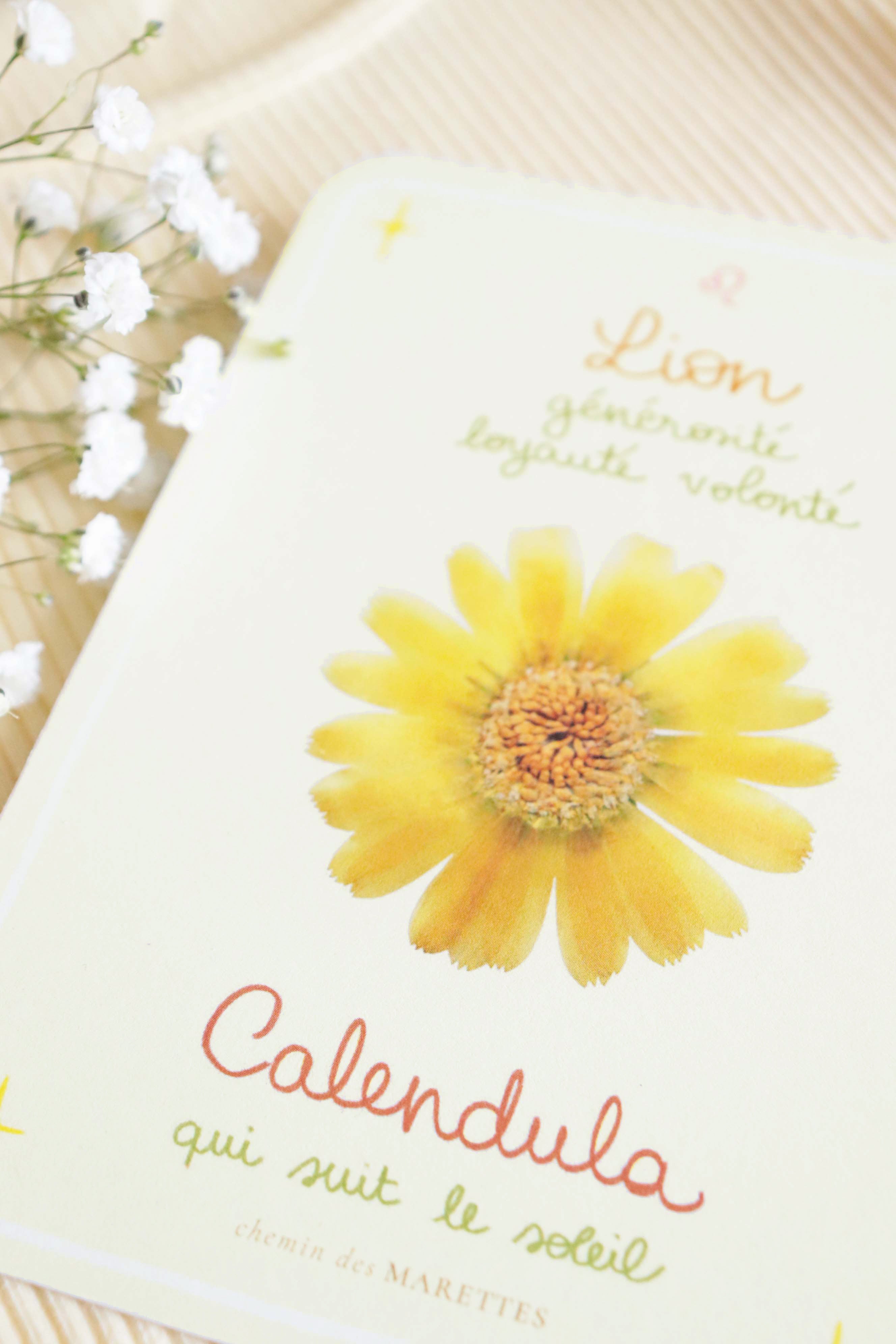 Floroscope - 12 cartes signes