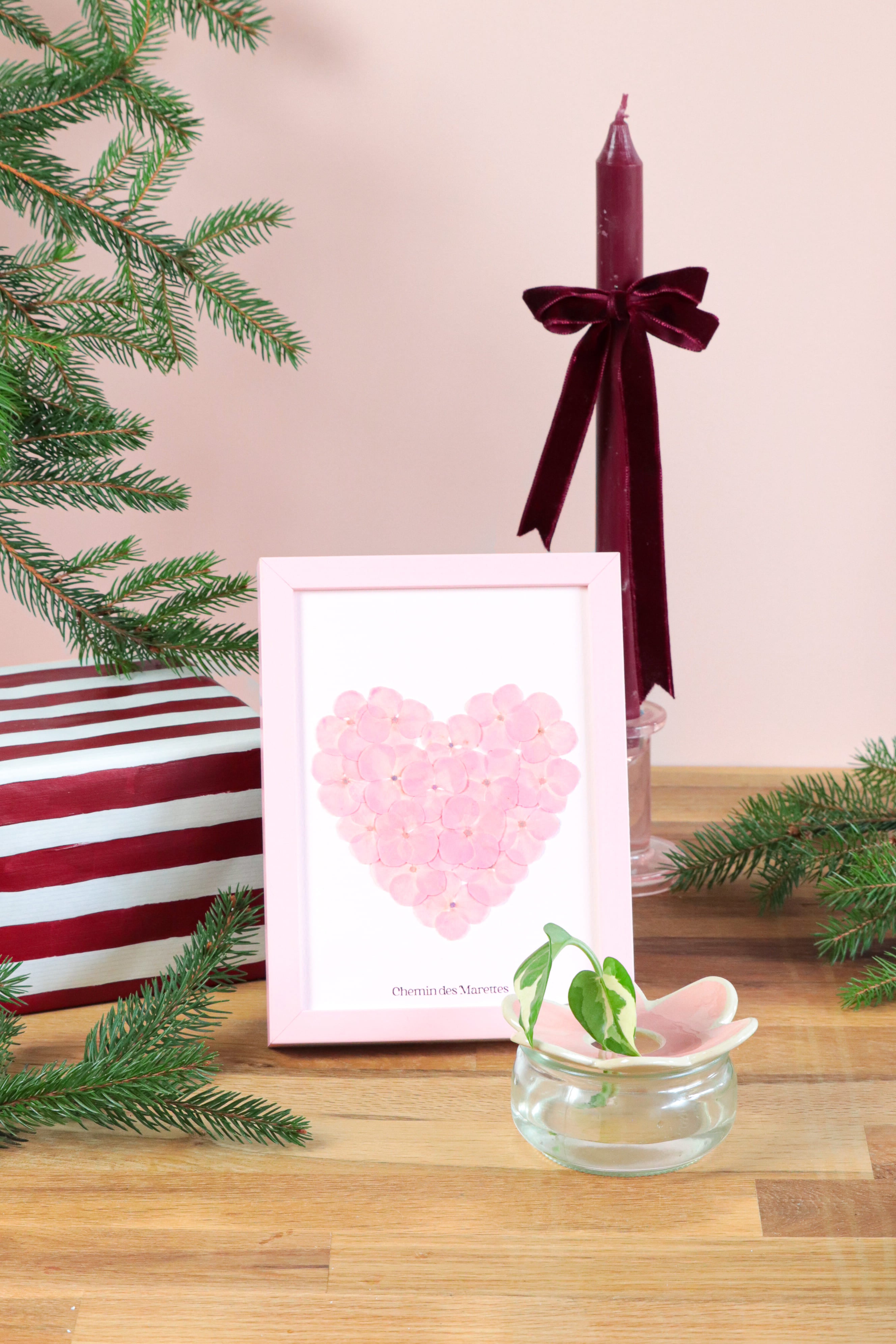 Pack Herbier + fleur à bouture