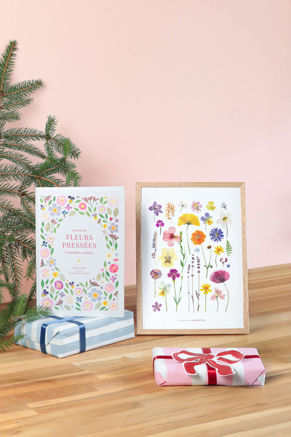 Pack Livre + Affiche encadrée