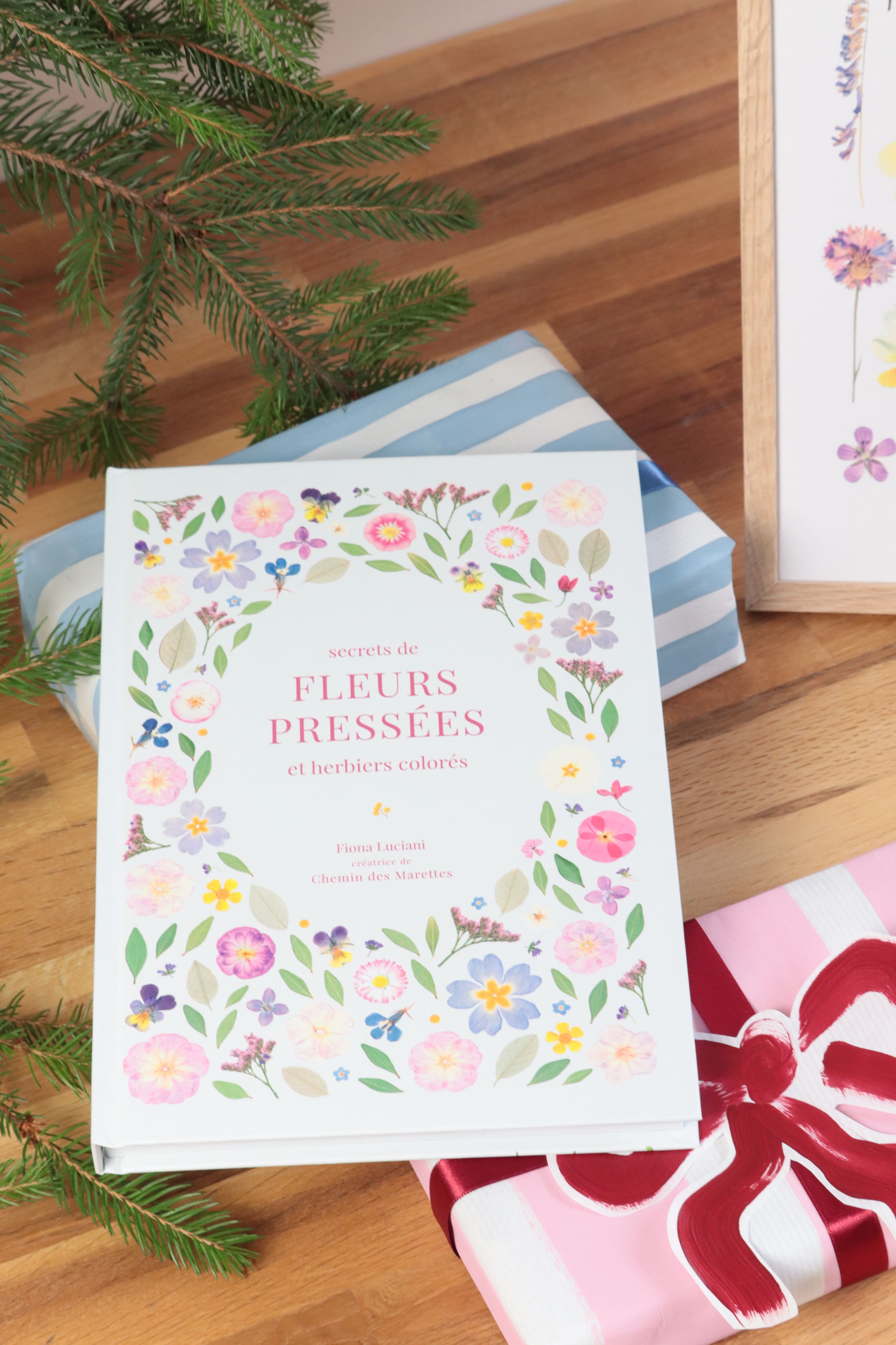 Pack Livre + Affiche encadrée