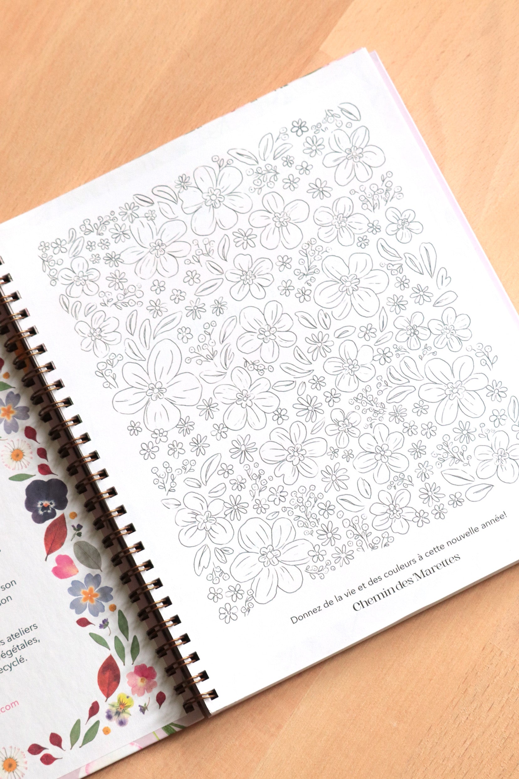 Agenda 2026 format bureau - rose