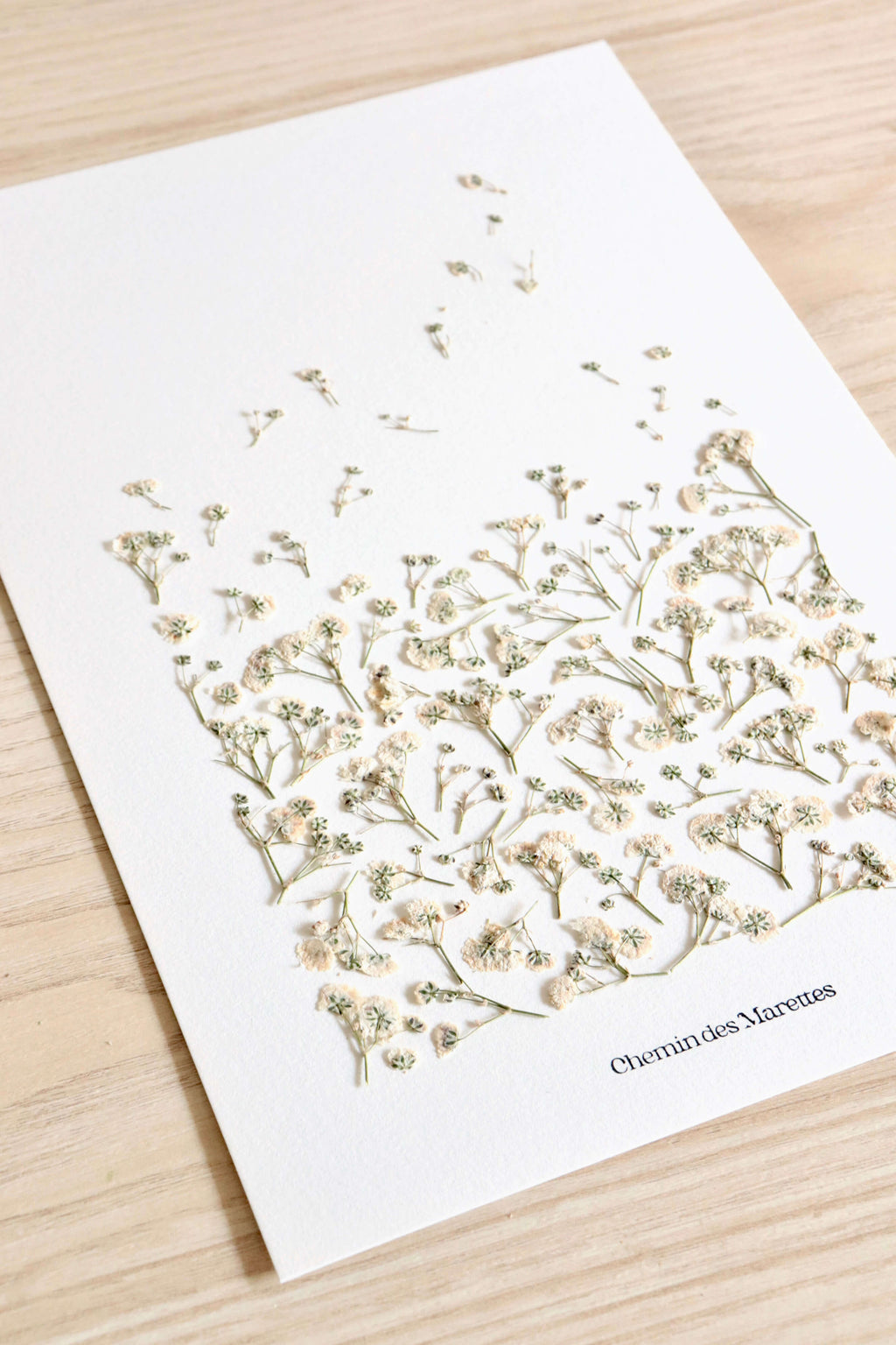 Herbier Envolée - A4