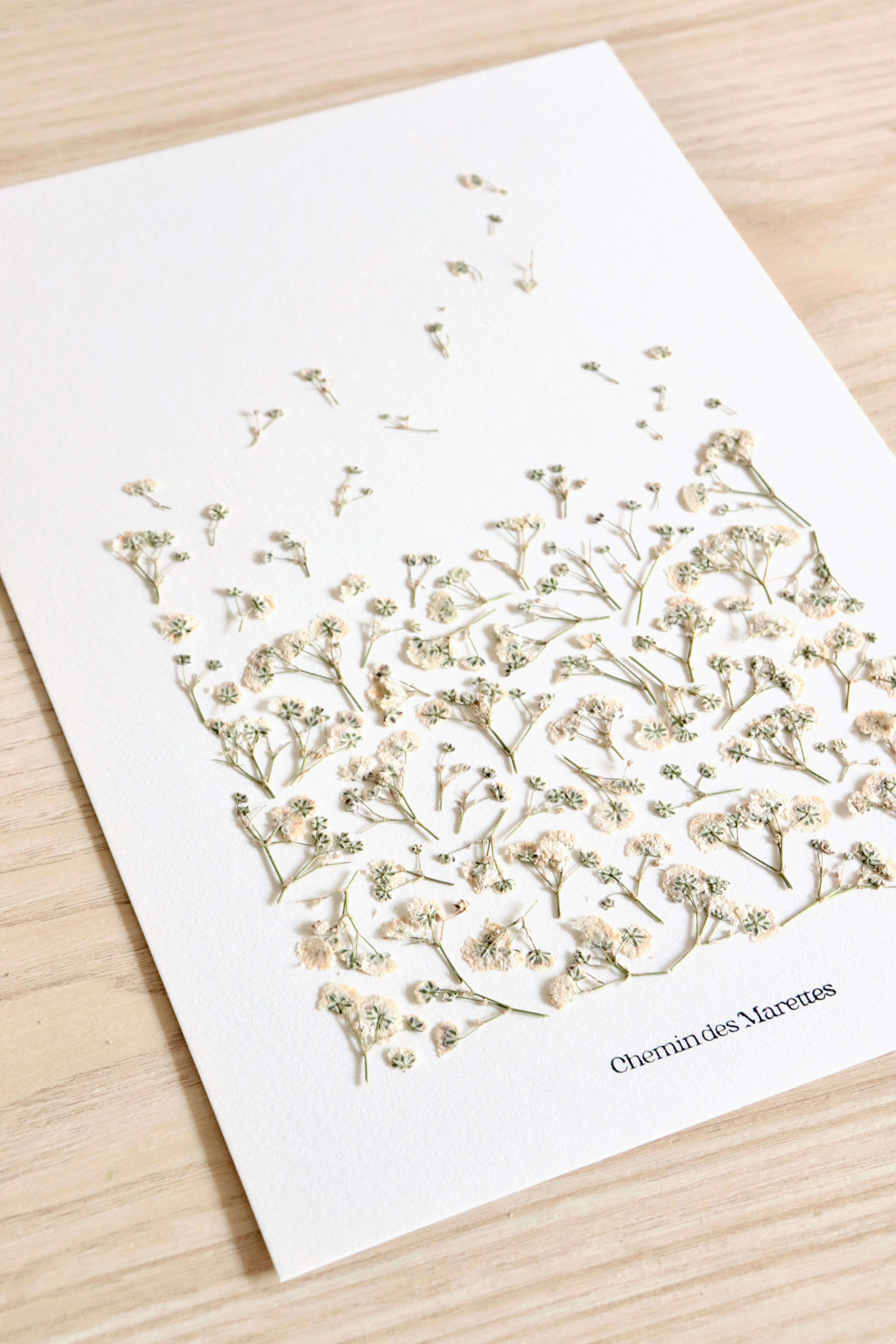 Herbier Envolée - A4