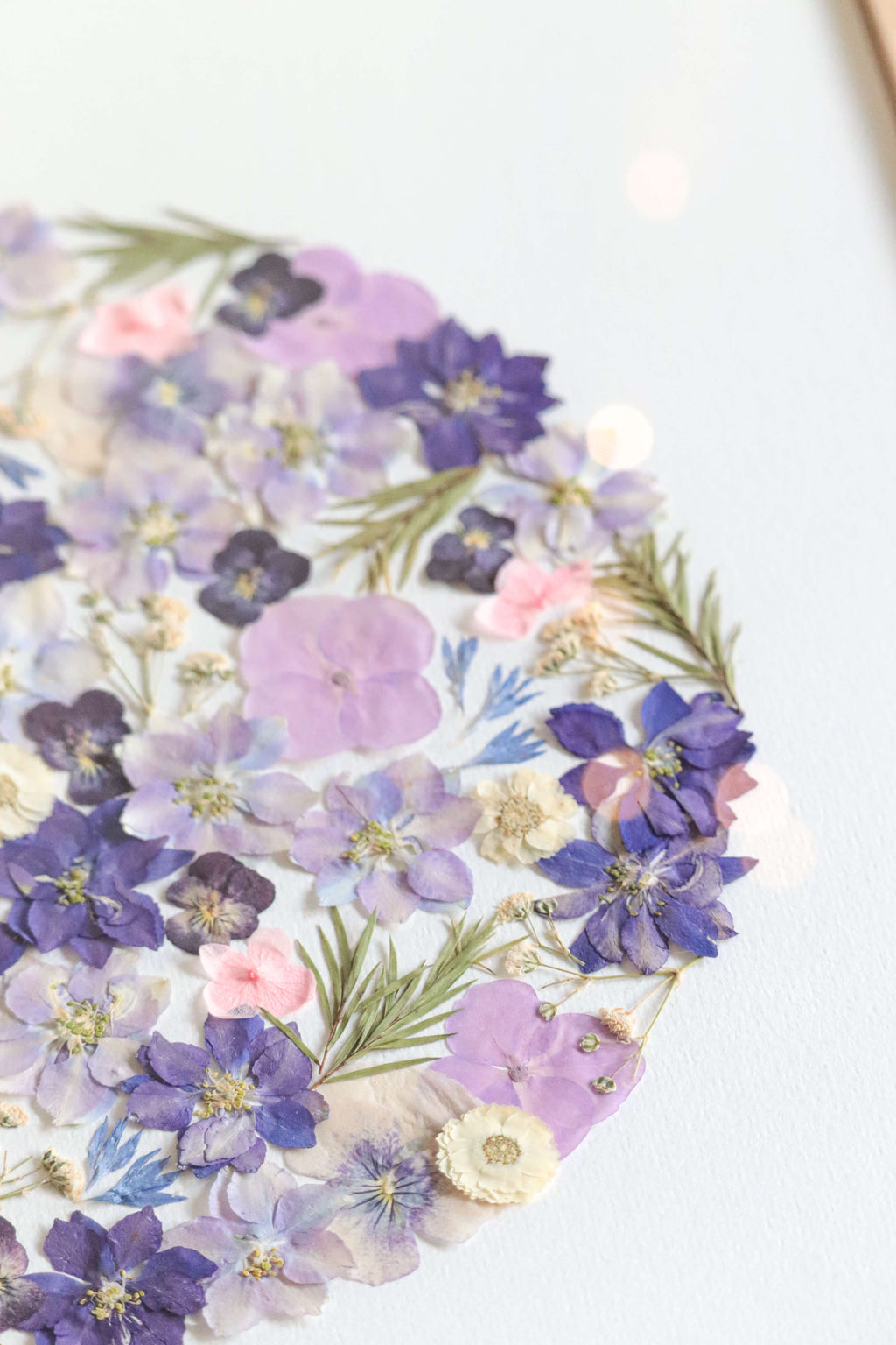 Herbier Parmirose - A3