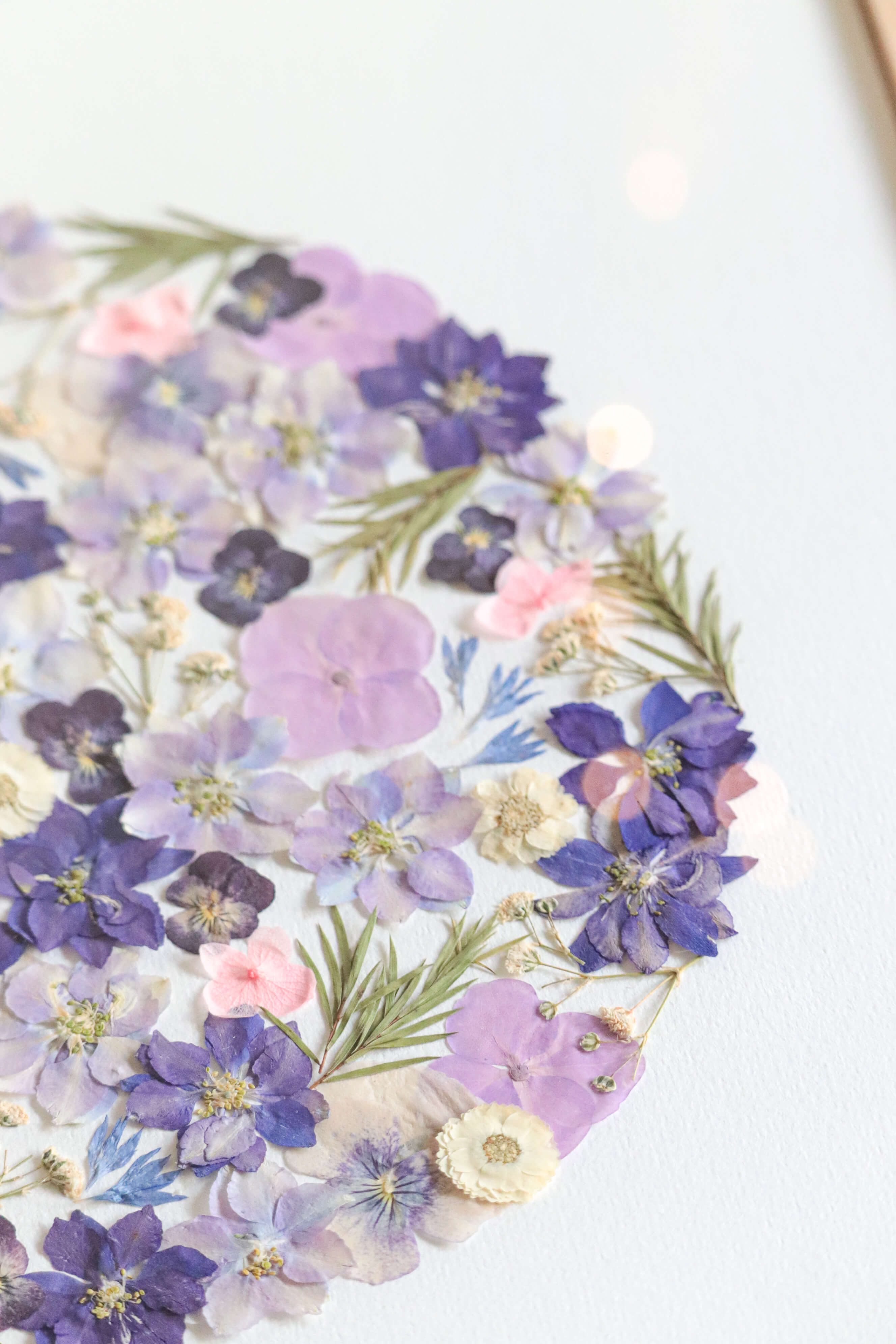 Herbier Parmirose - A3