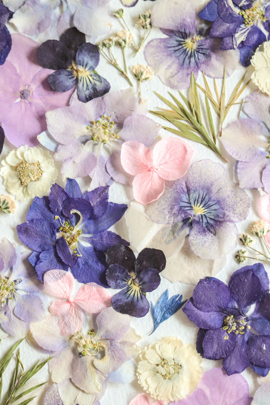 Herbier Parmirose - A5