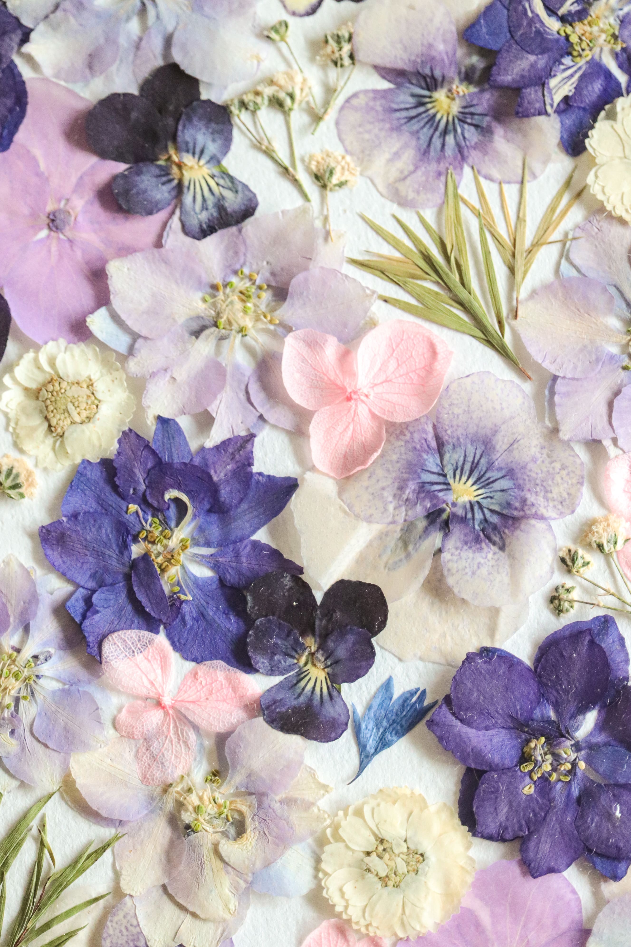 Herbier Parmirose - A5