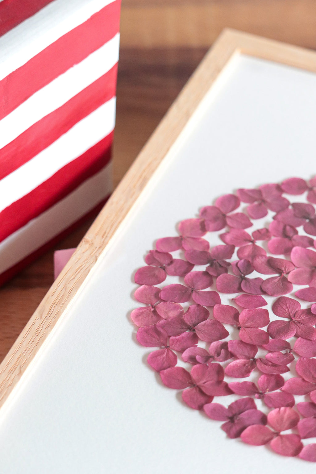 Herbier Passion - A4