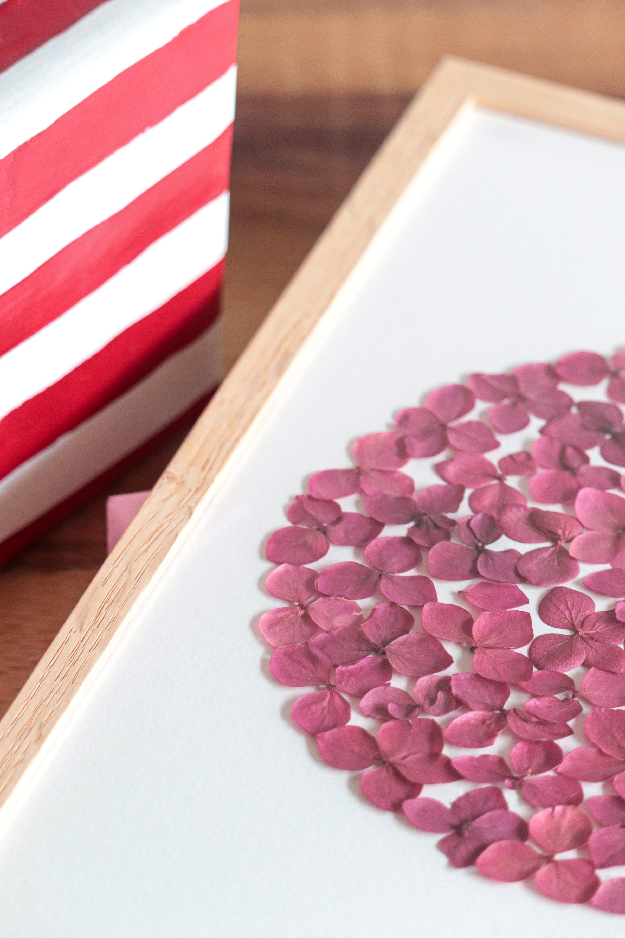 Herbier Passion - A4