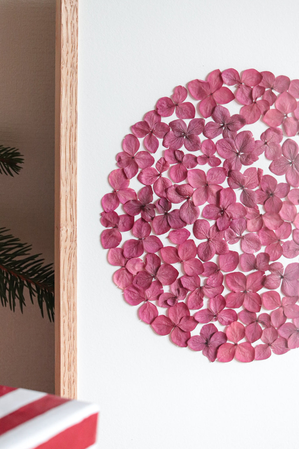 Herbier Passion - A4