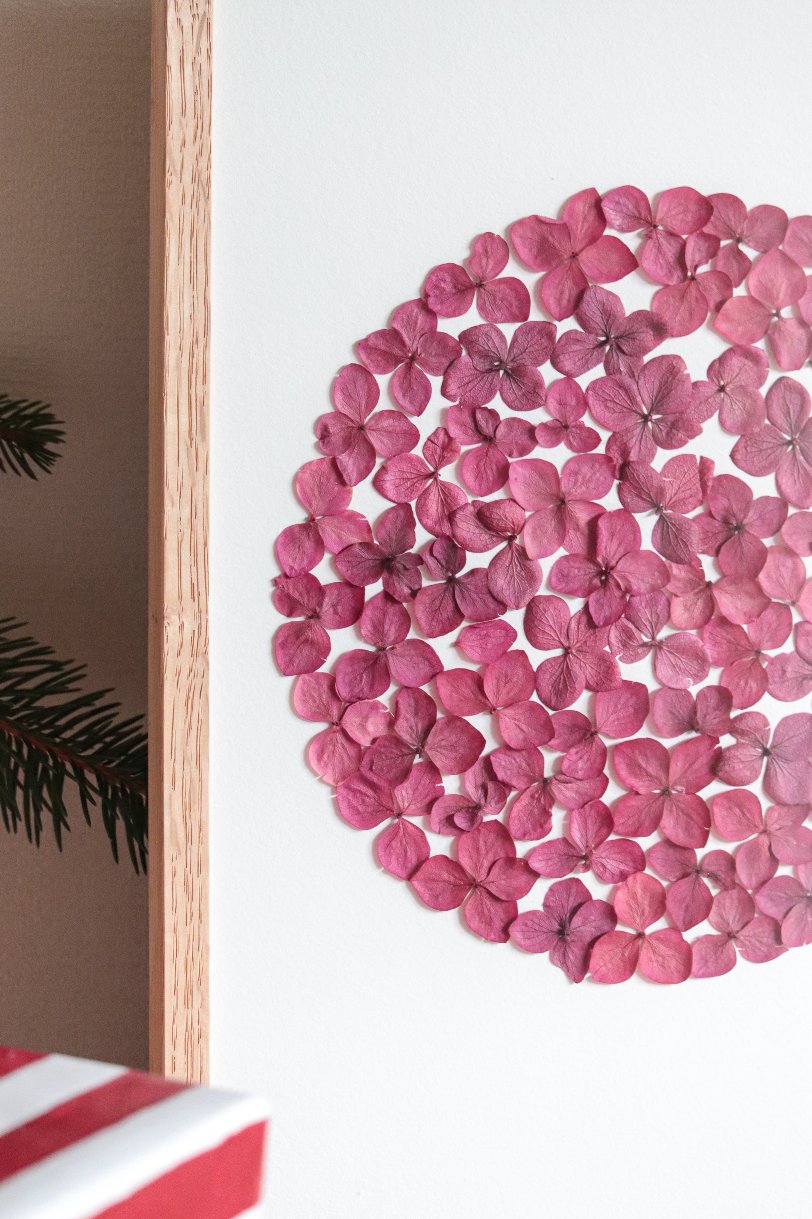 Herbier Passion - A4