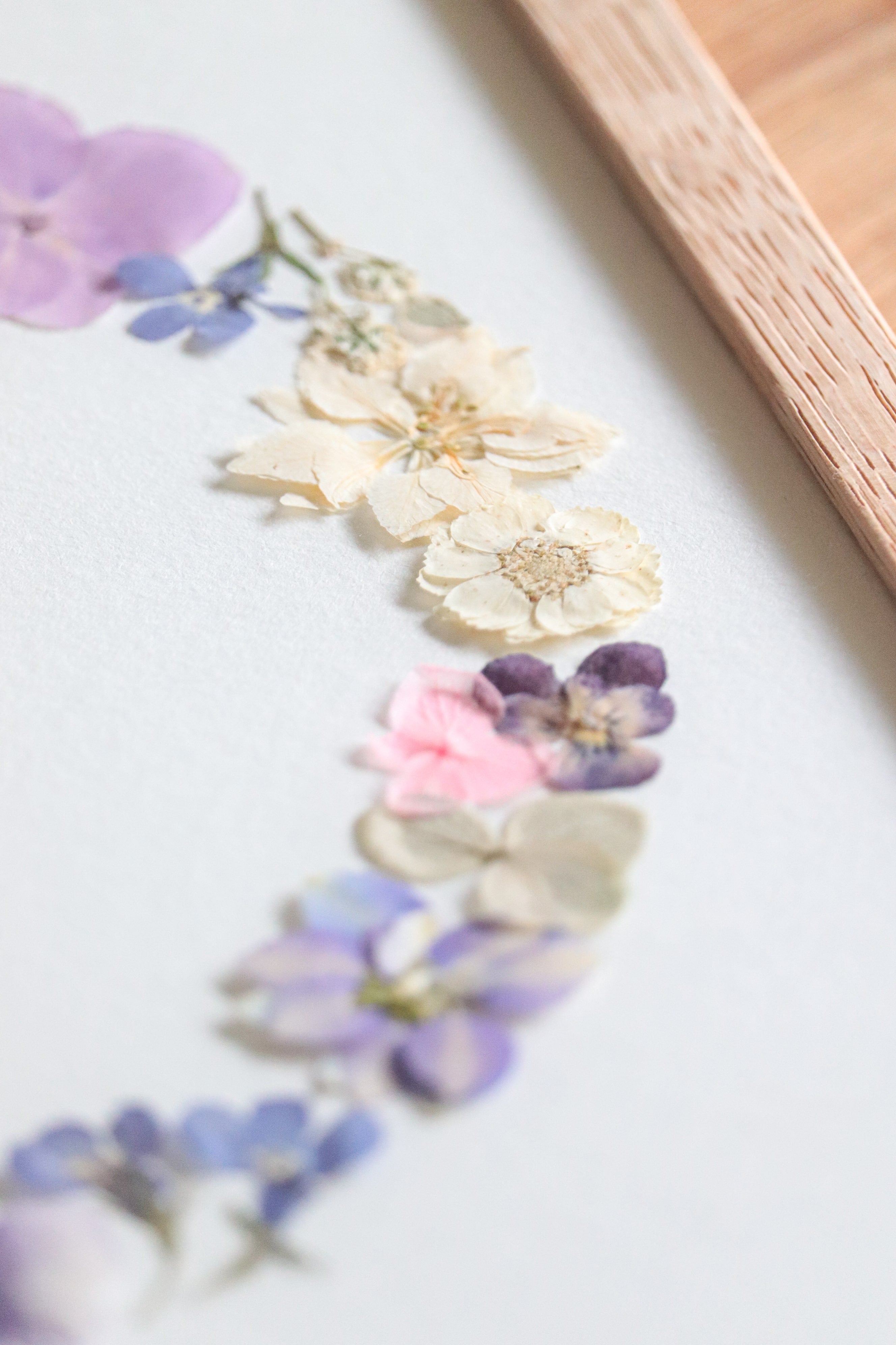 Herbier Pourpre - A4