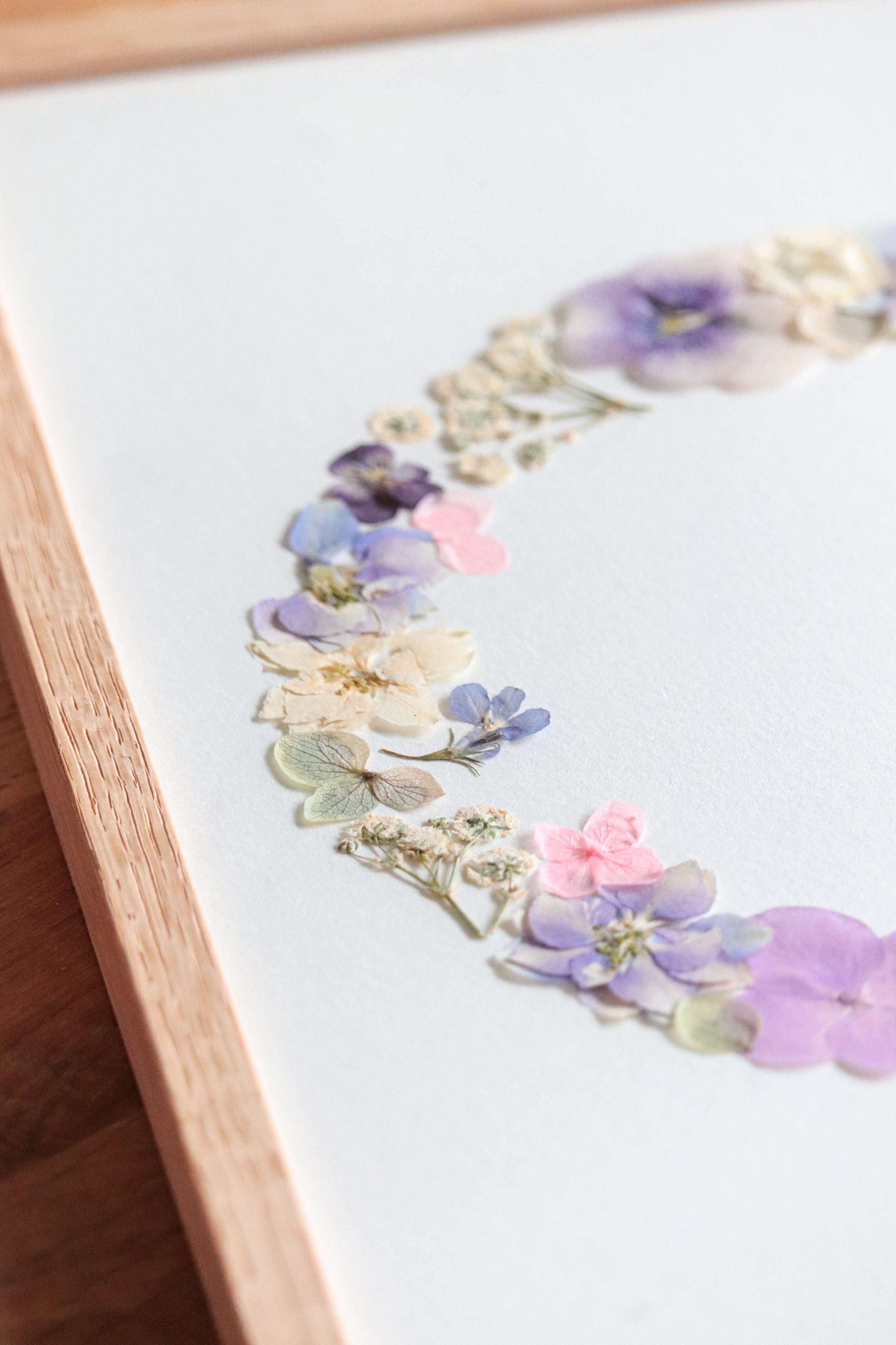 Herbier Pourpre - A4