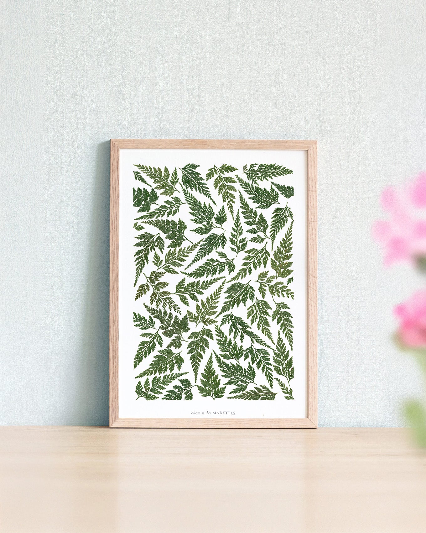 Herbier Timidité - A4