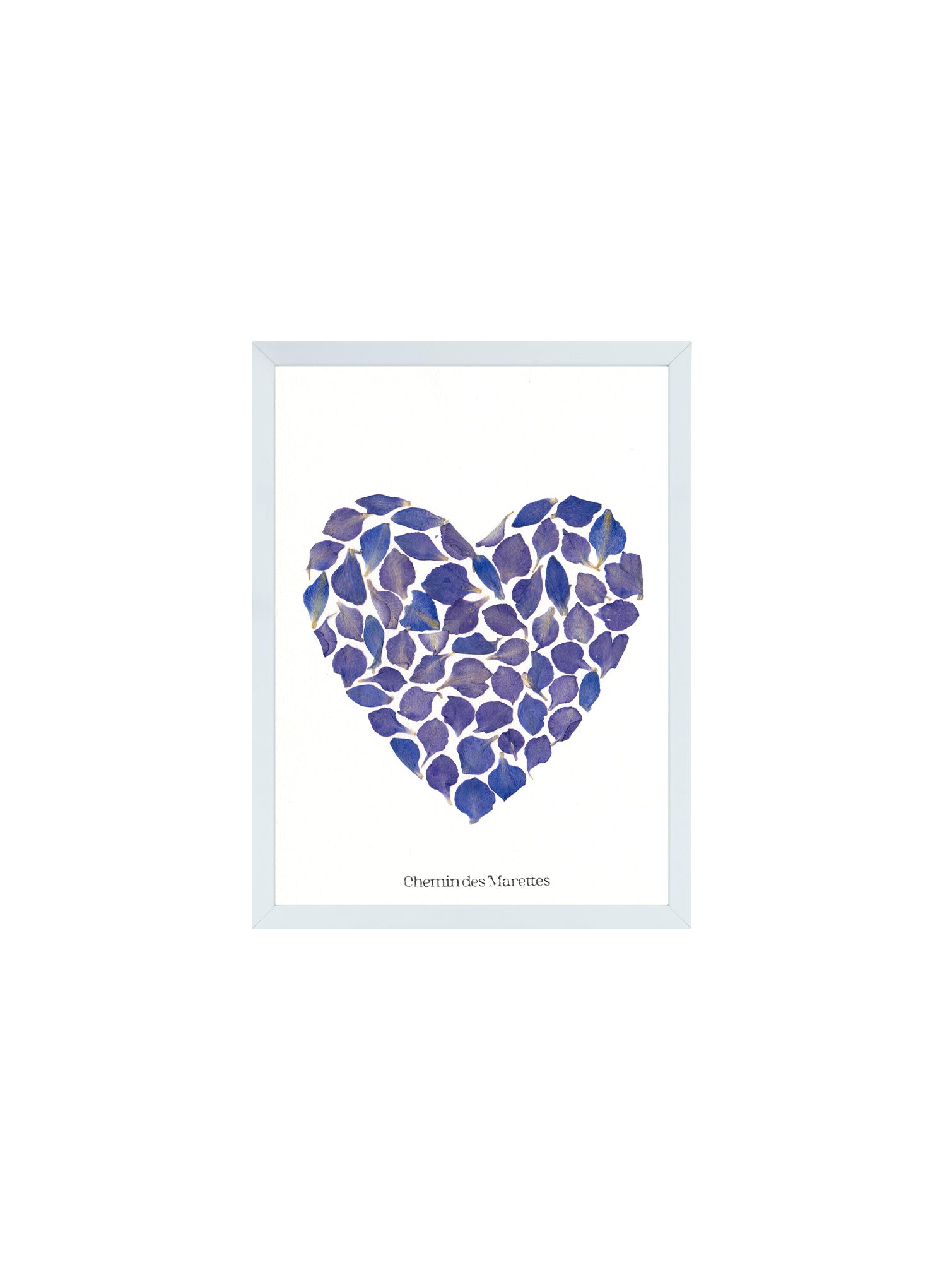 Herbier Petit Coeur - bleu