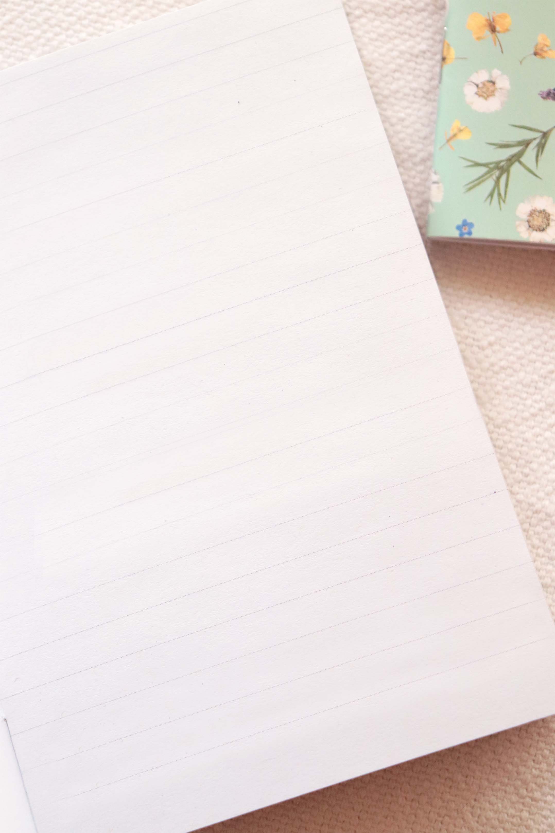 Lot 2 carnets Jardin - A6