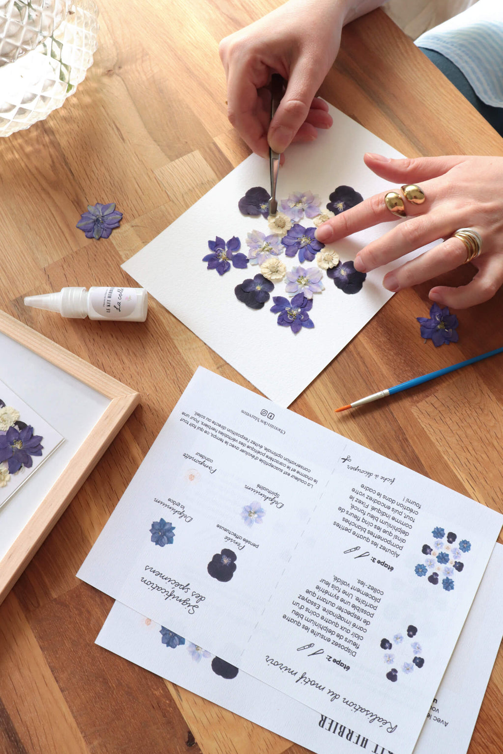 Kit DIY herbier - bleu
