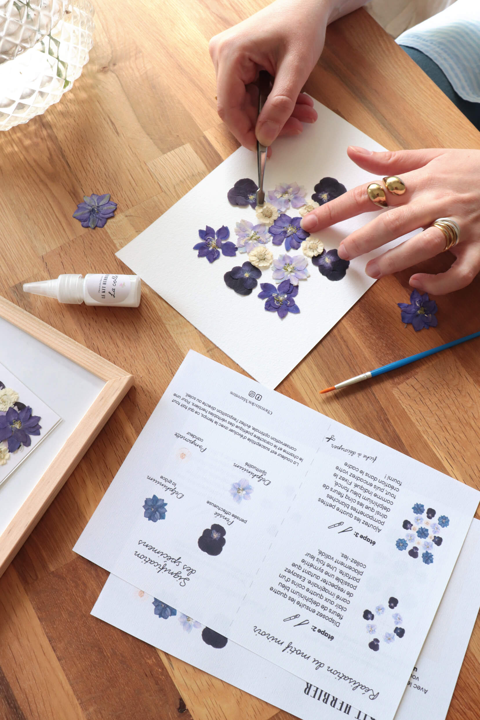Kit DIY herbier - bleu