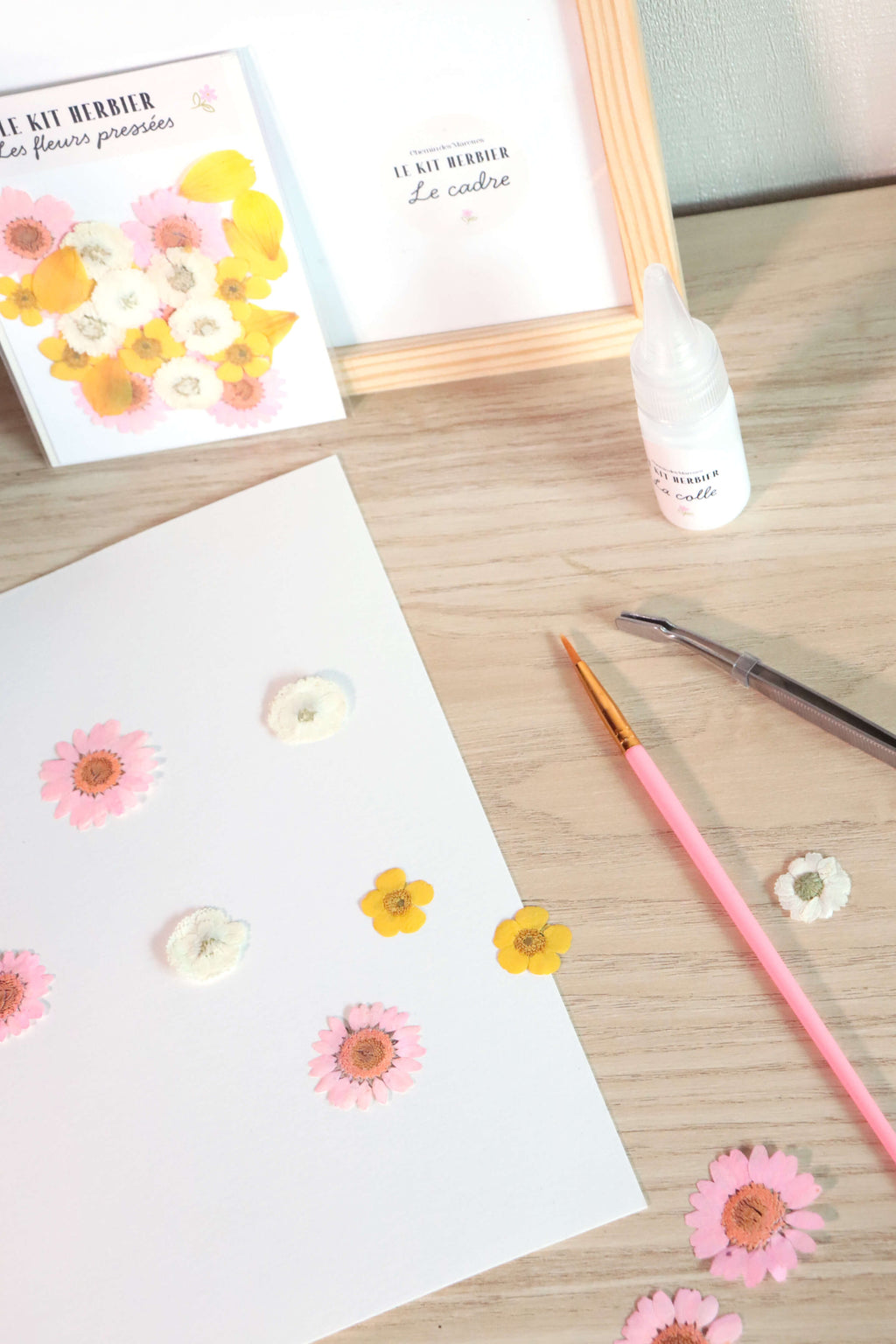 Kit DIY herbier - rose