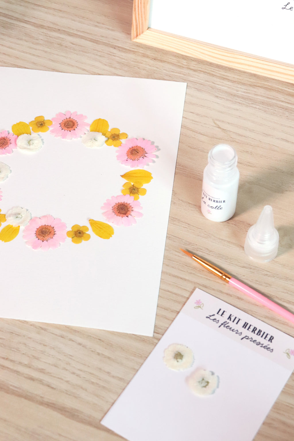 Kit DIY herbier - rose