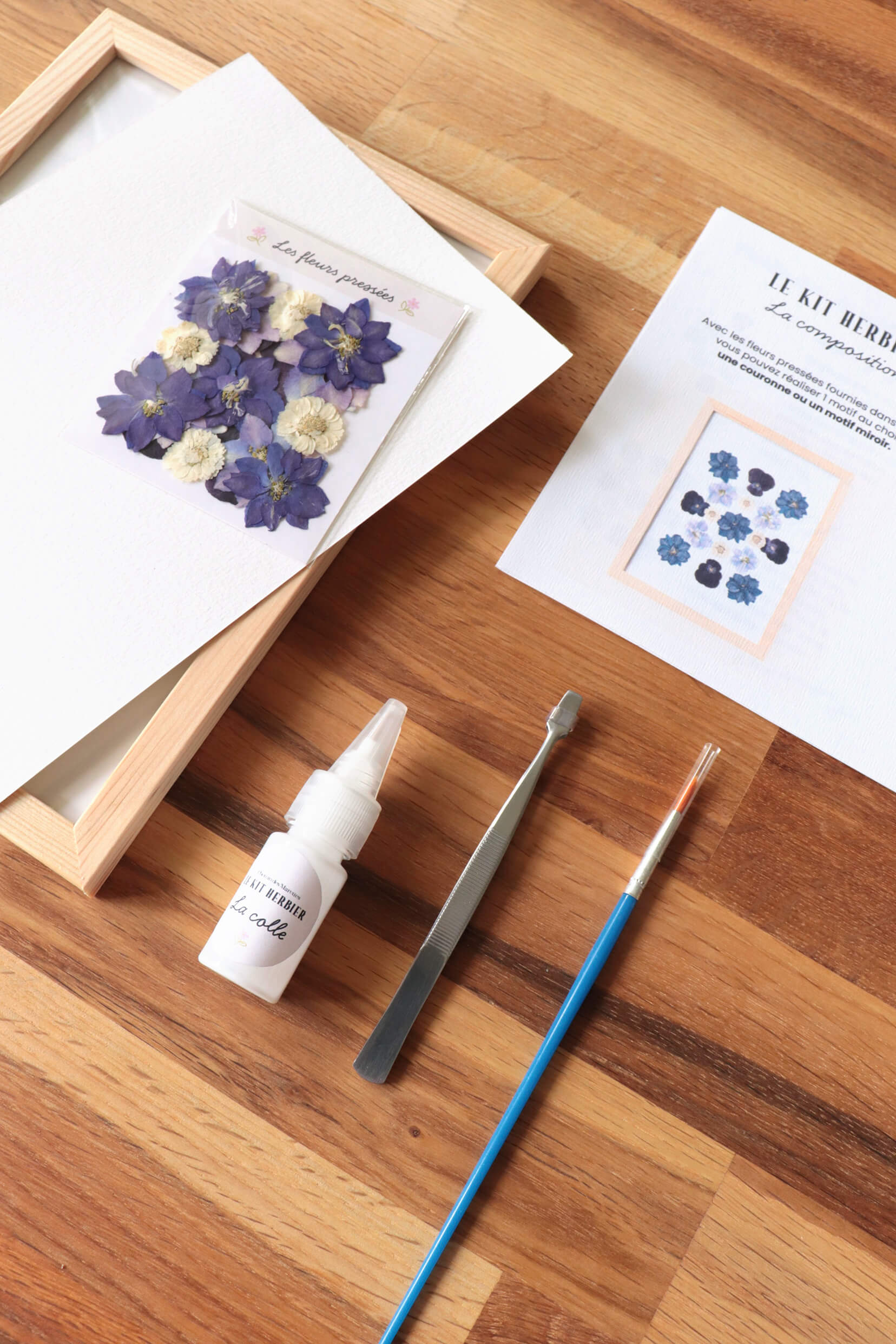 Kit DIY herbier - bleu