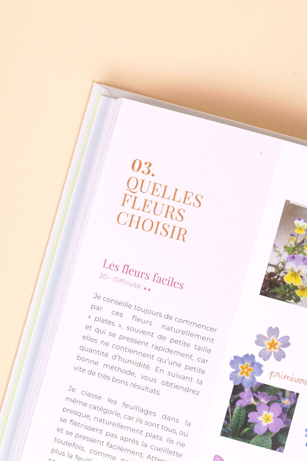 Livre - Secrets de Fleurs Pressées