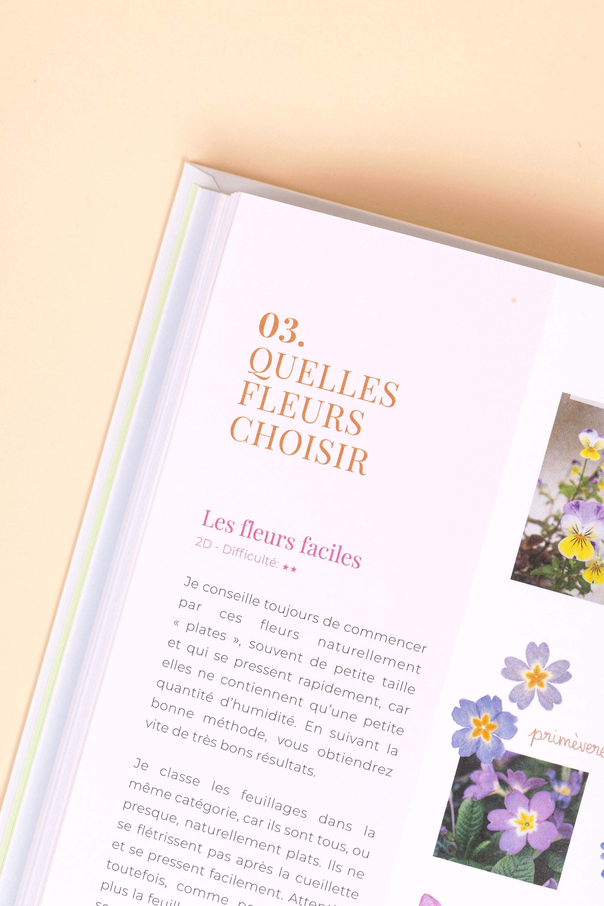 Livre - Secrets de Fleurs Pressées