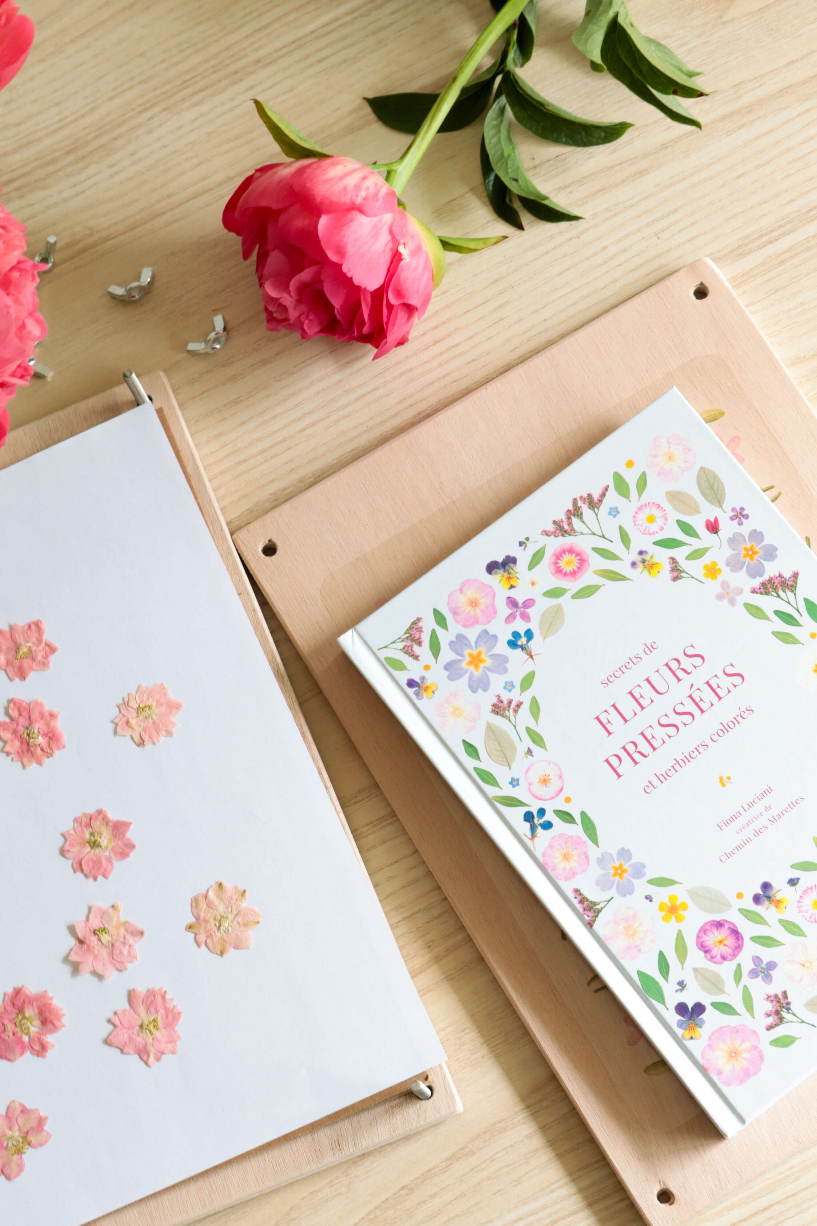 Pack Presse + Livre - les incontournables