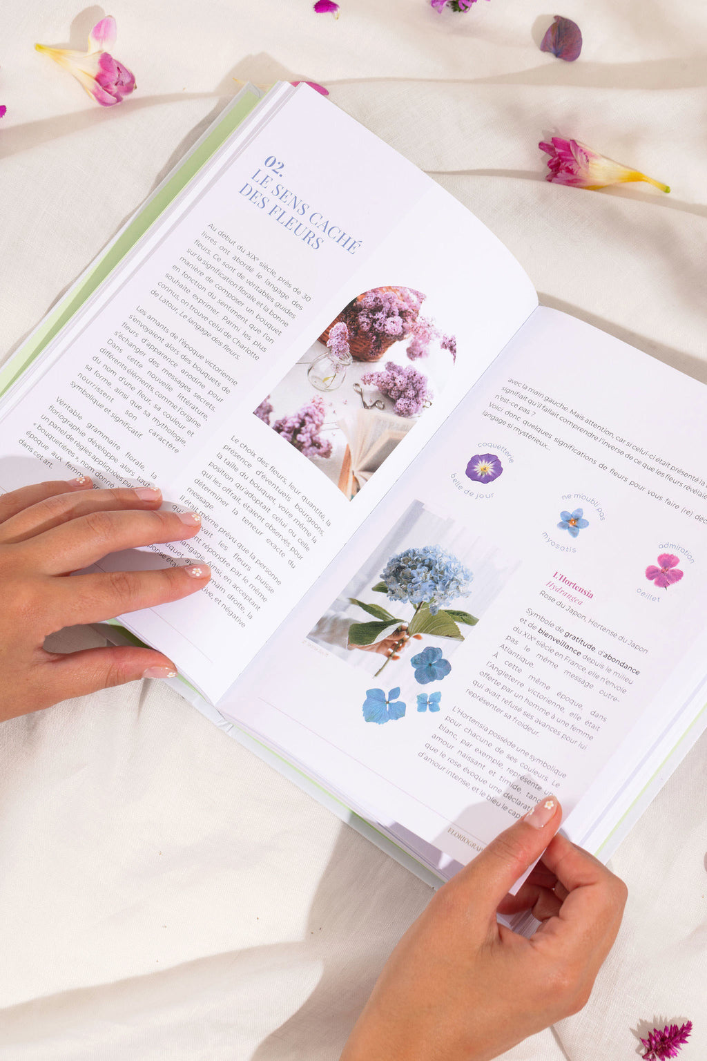 Livre - Secrets de Fleurs Pressées