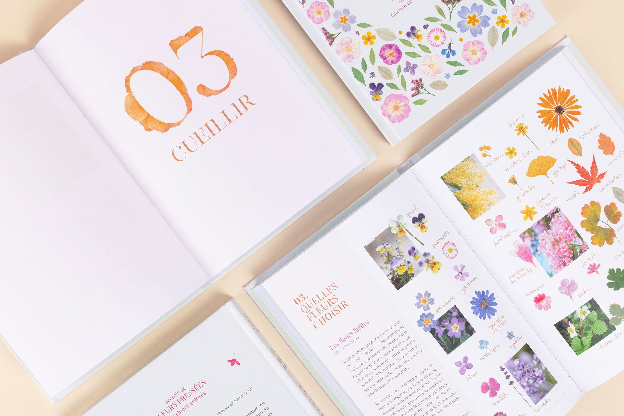 Livre - Secrets de Fleurs Pressées