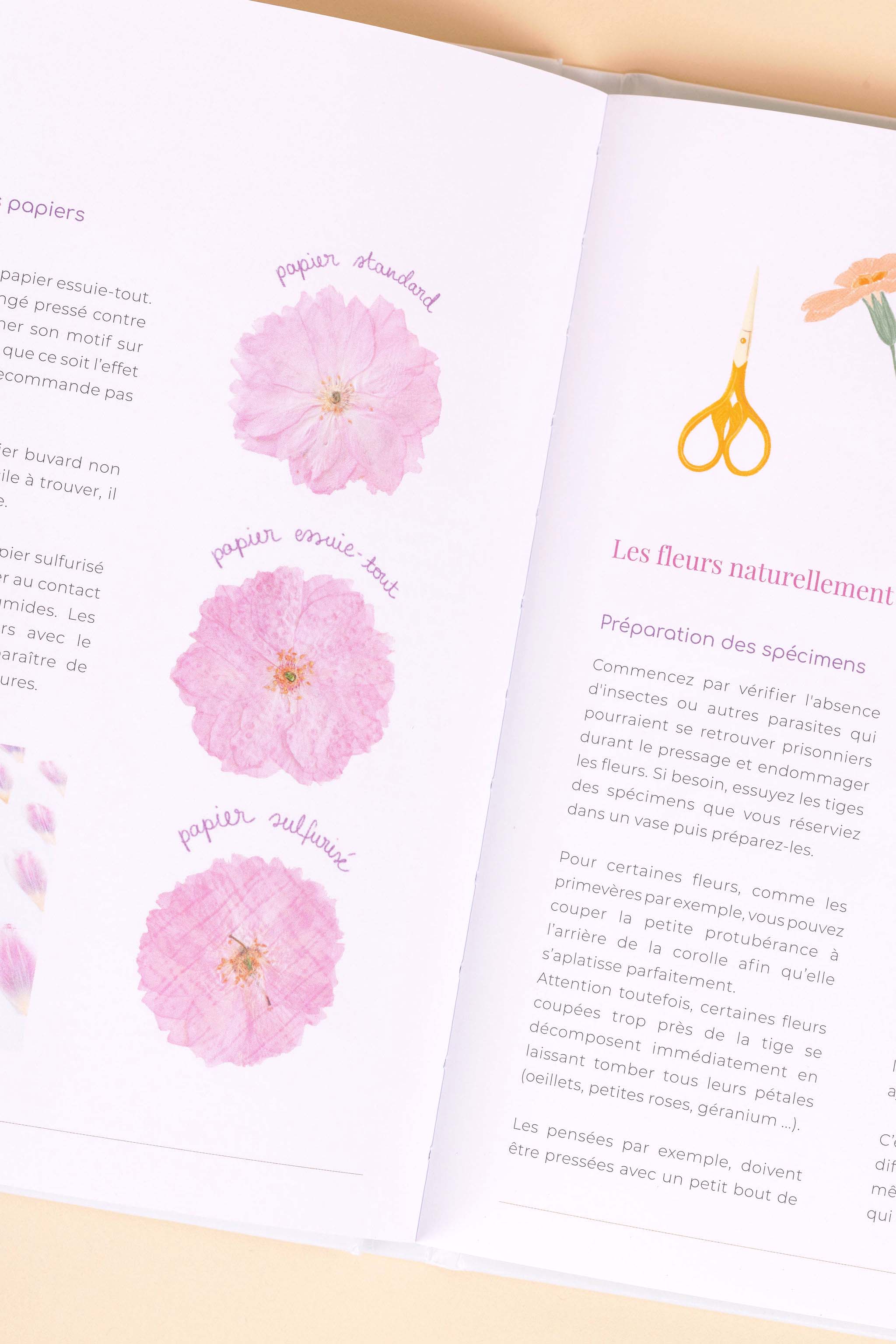 Livre - Secrets de Fleurs Pressées