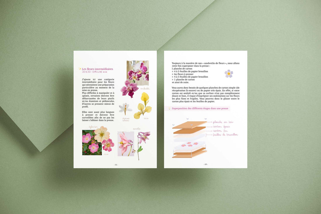 Guide PDF Fleurs pressées : Cueillir et Presser
