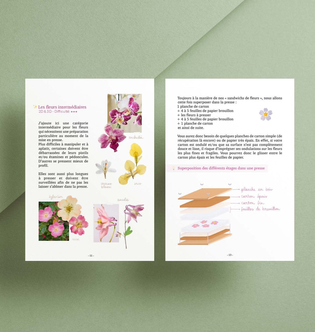 Guide PDF Fleurs pressées : Cueillir, Presser & Créer un herbier
