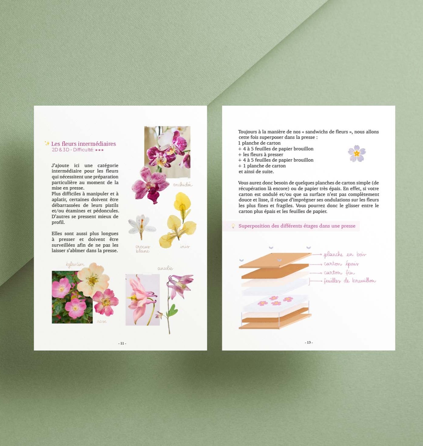 Guide PDF Fleurs pressées : Cueillir, Presser & Créer un herbier