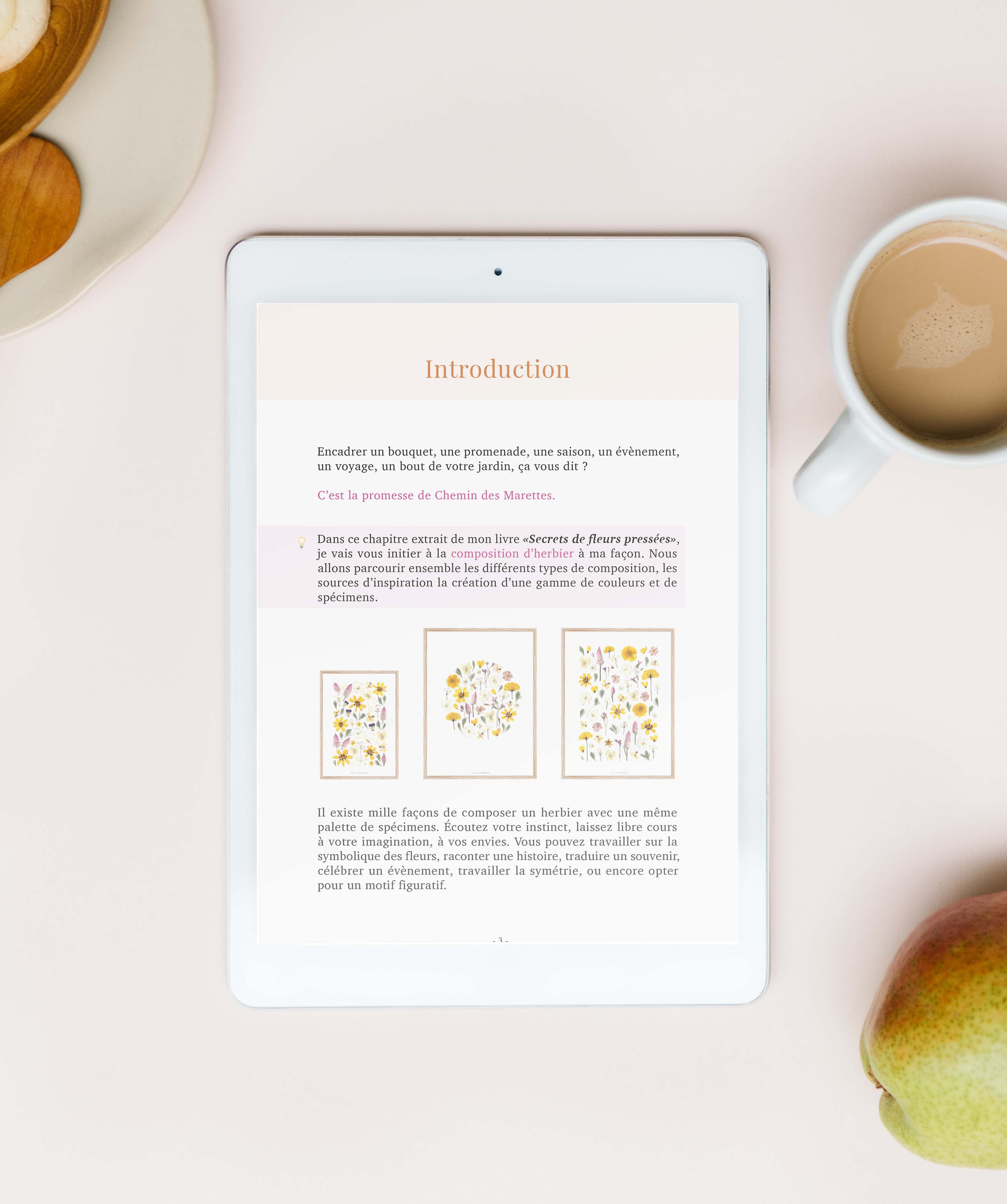 Guide PDF Fleurs pressées : Créer un herbier