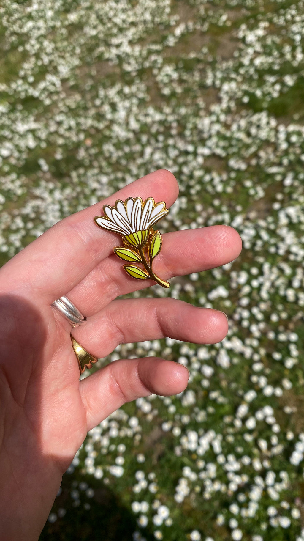 Pin's Marguerite blanche