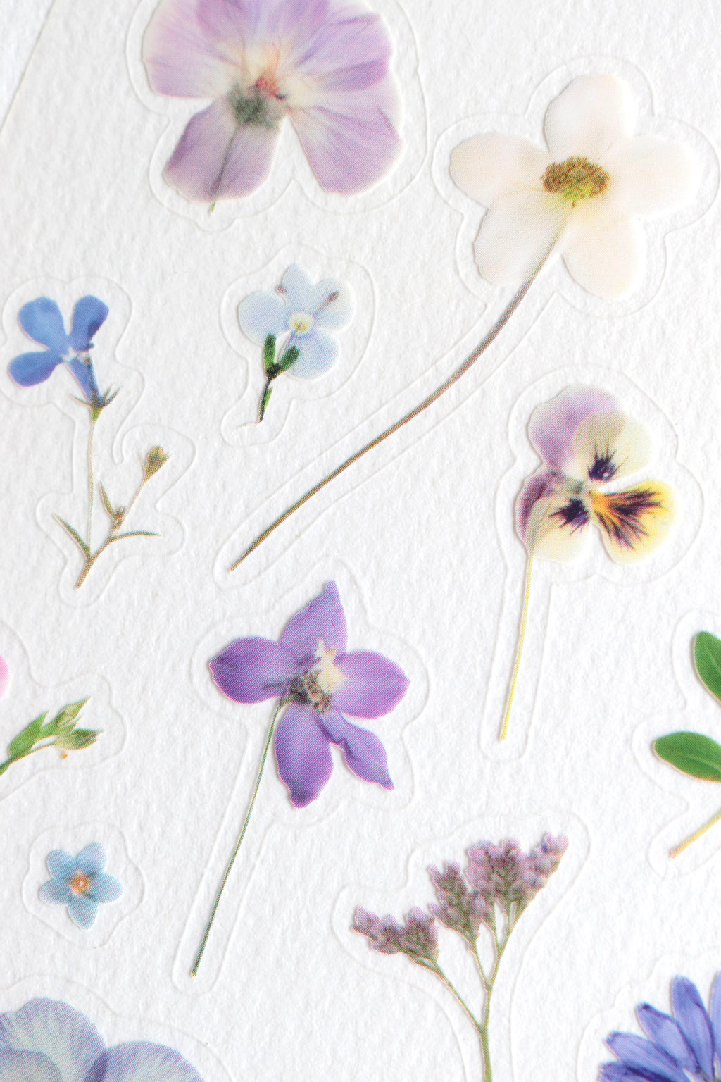 Planche de Stickers fleurs – Crépuscule