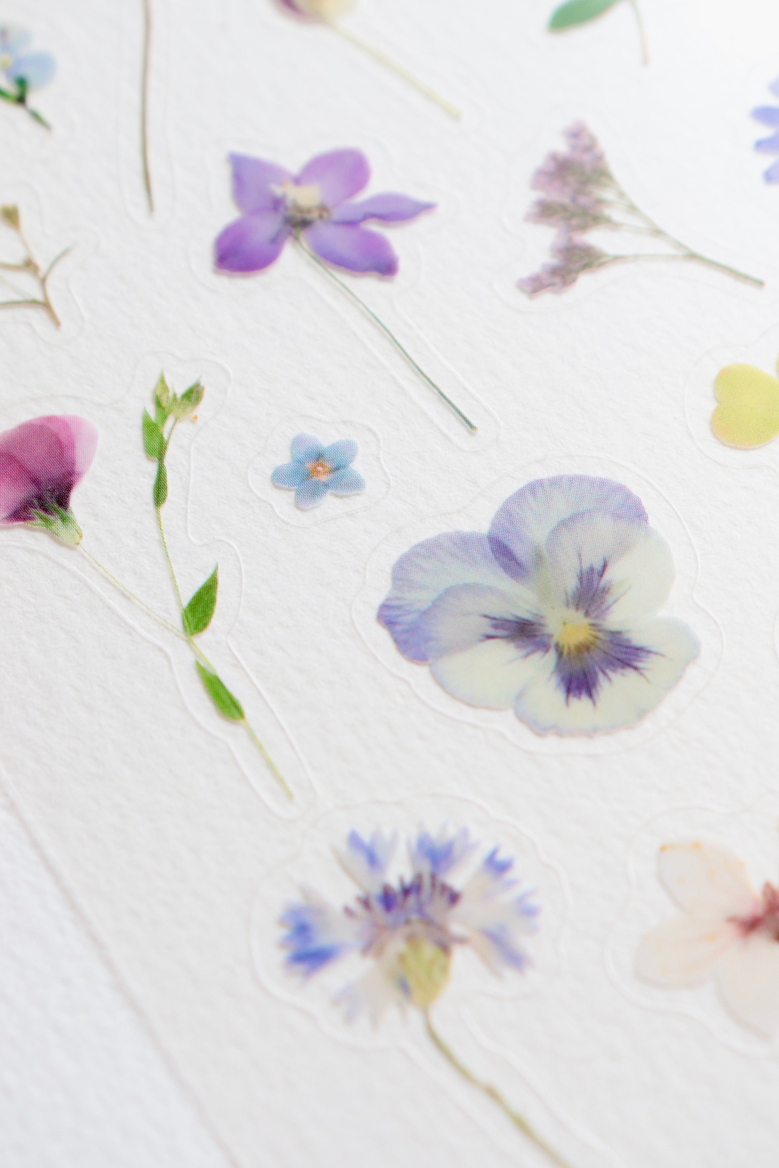 Planche de Stickers fleurs – Crépuscule