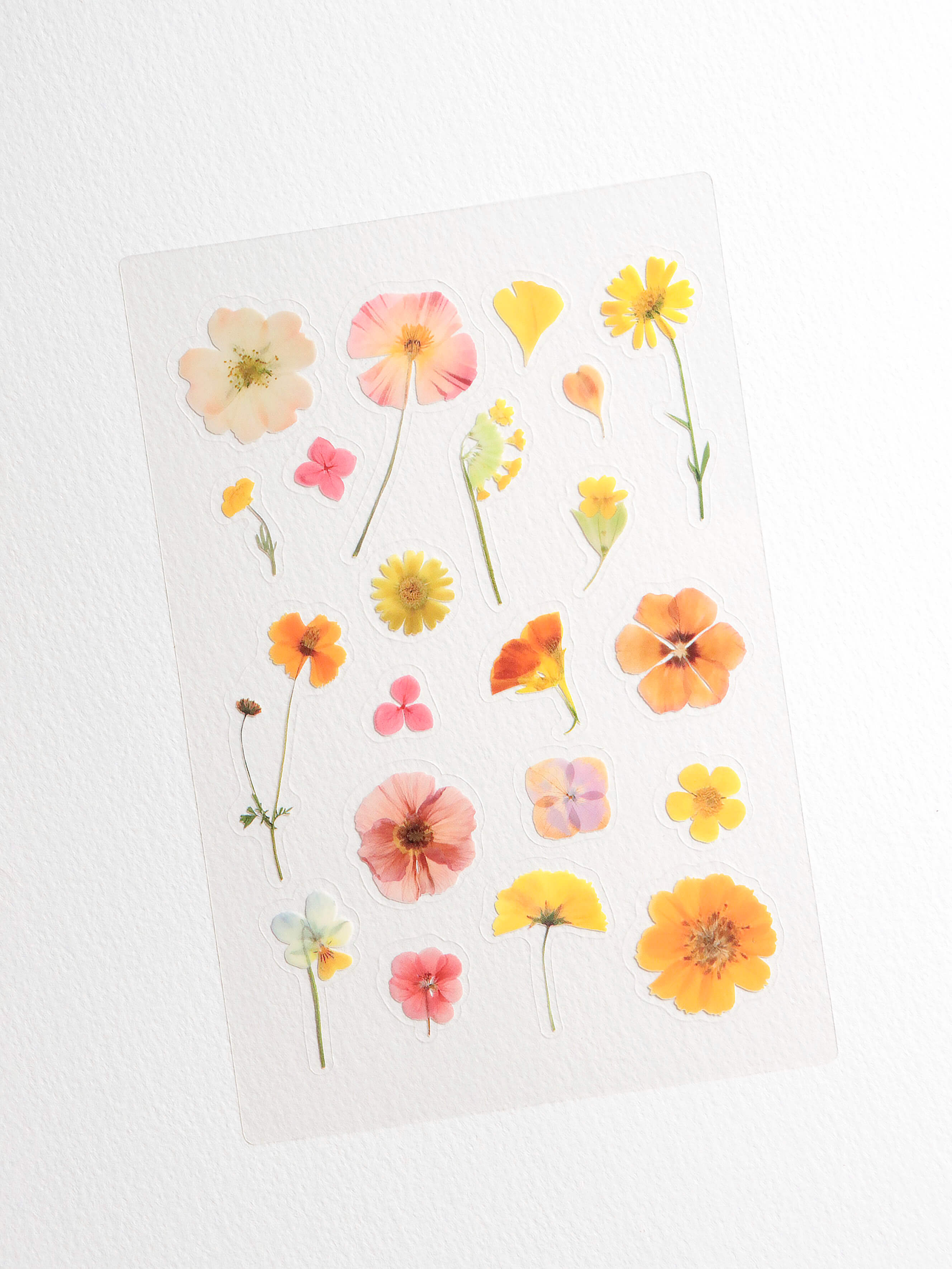 Stickers fleurs – Soleil