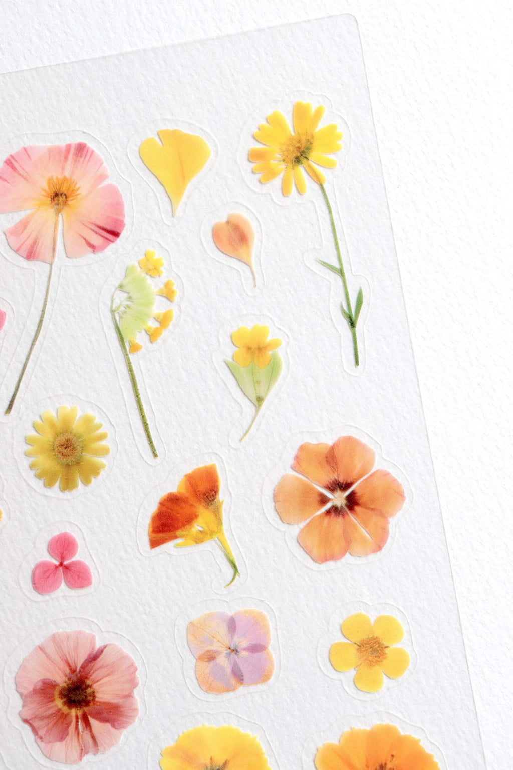 Stickers fleurs – Soleil