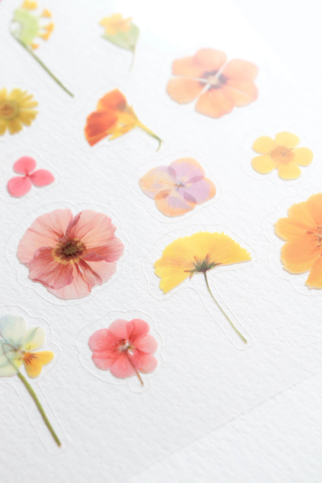 Stickers fleurs – Soleil