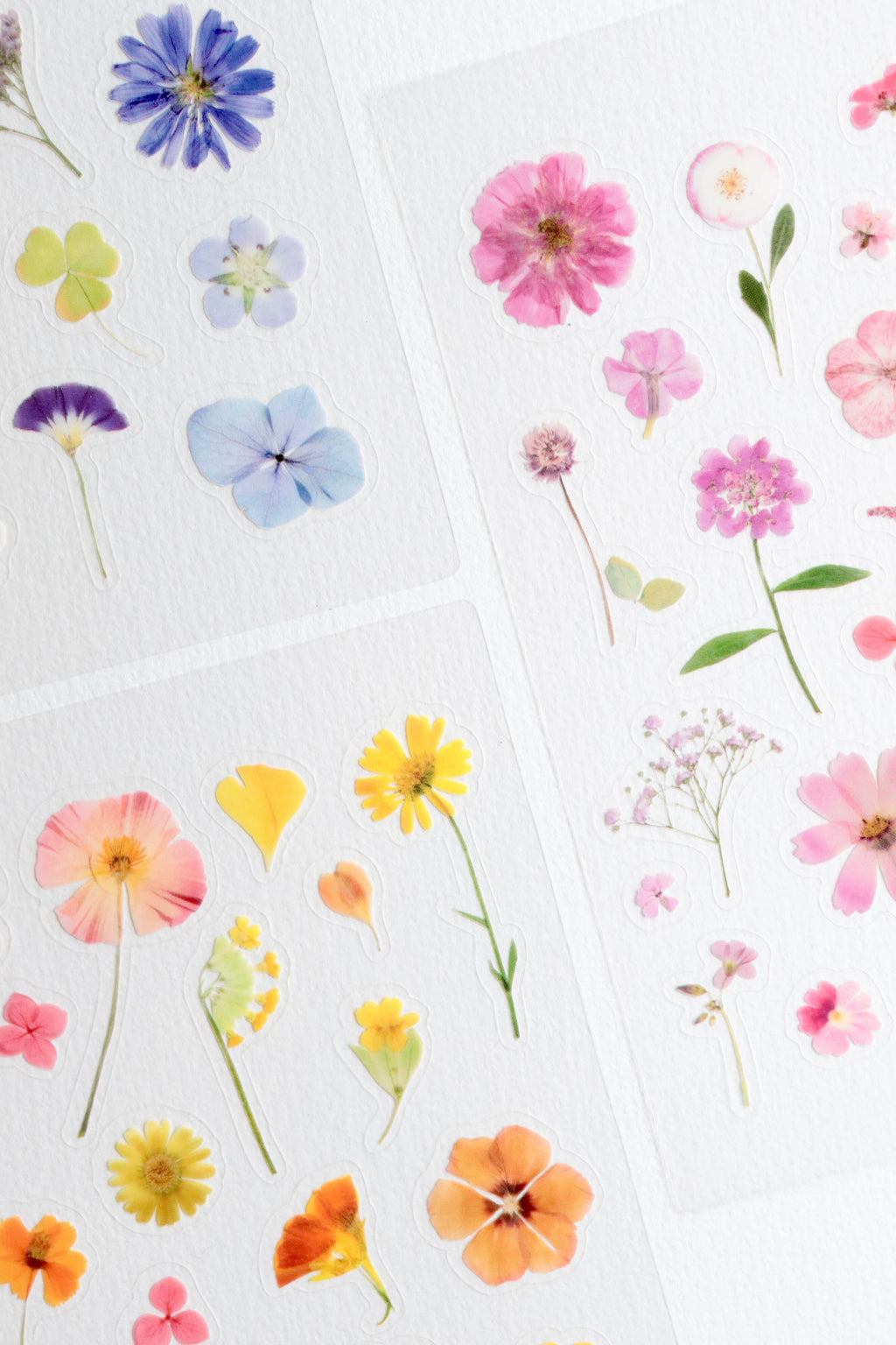 Lot Estival - 3 Planches stickers fleurs