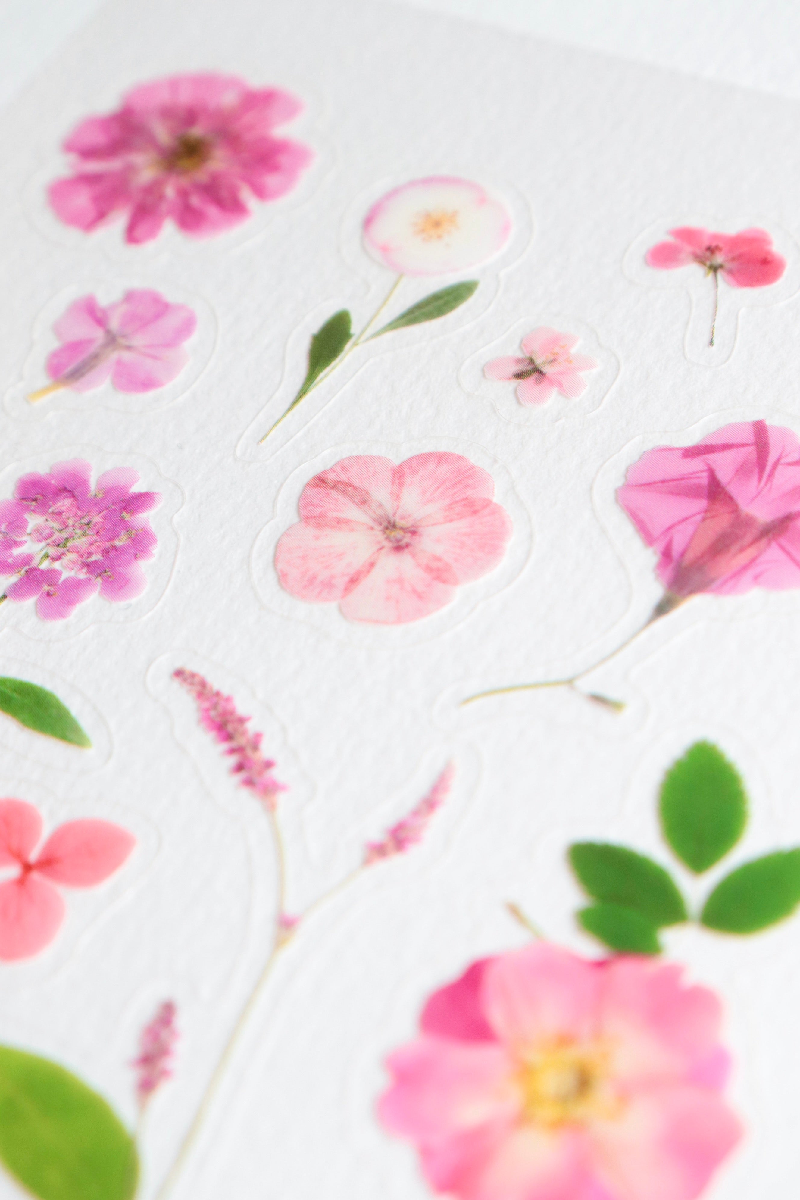 Planche de stickers fleurs – Passion