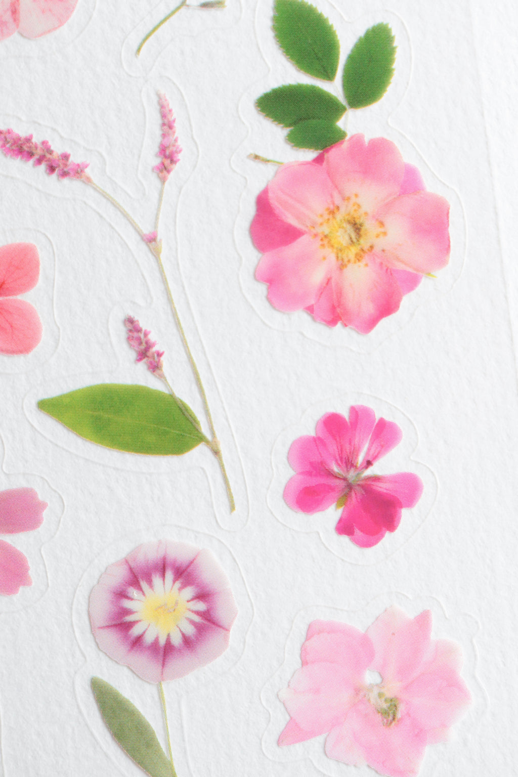 Planche de stickers fleurs – Passion