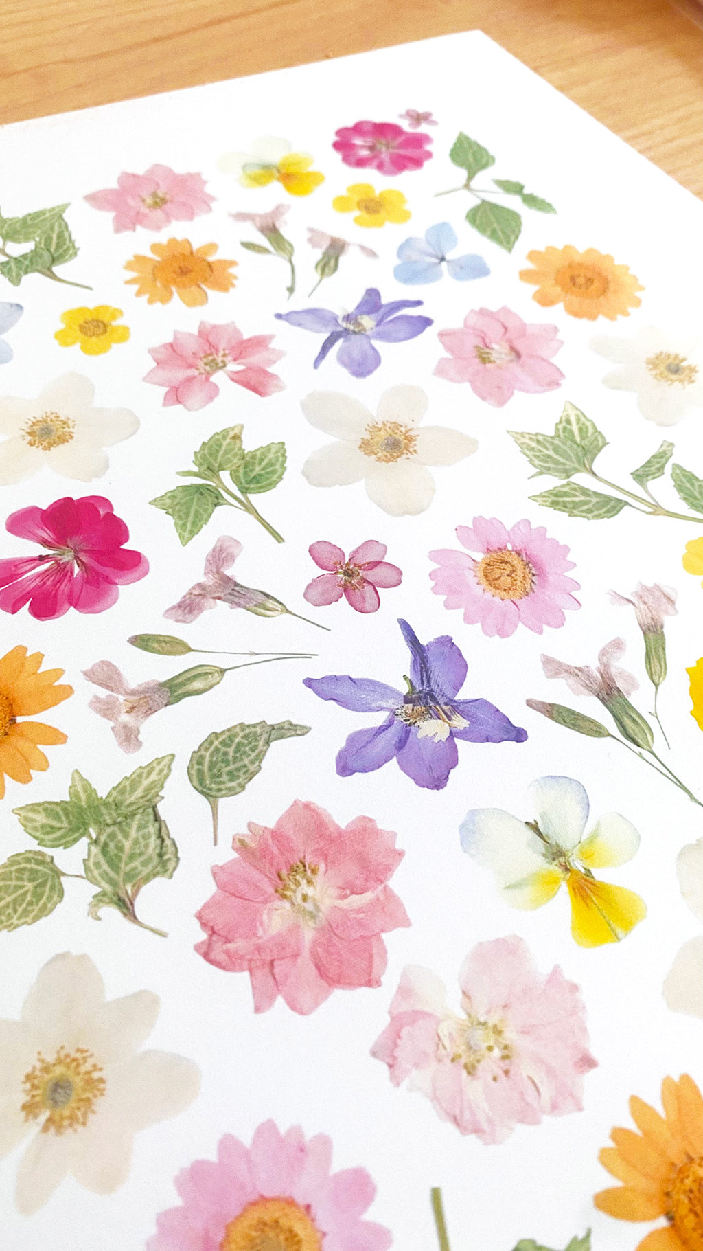 Affiche Herbier - Poème