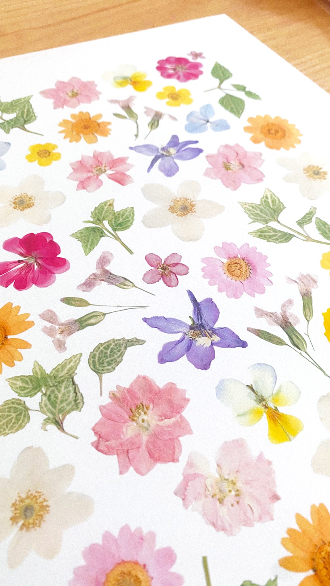 Affiche Herbier - Poème