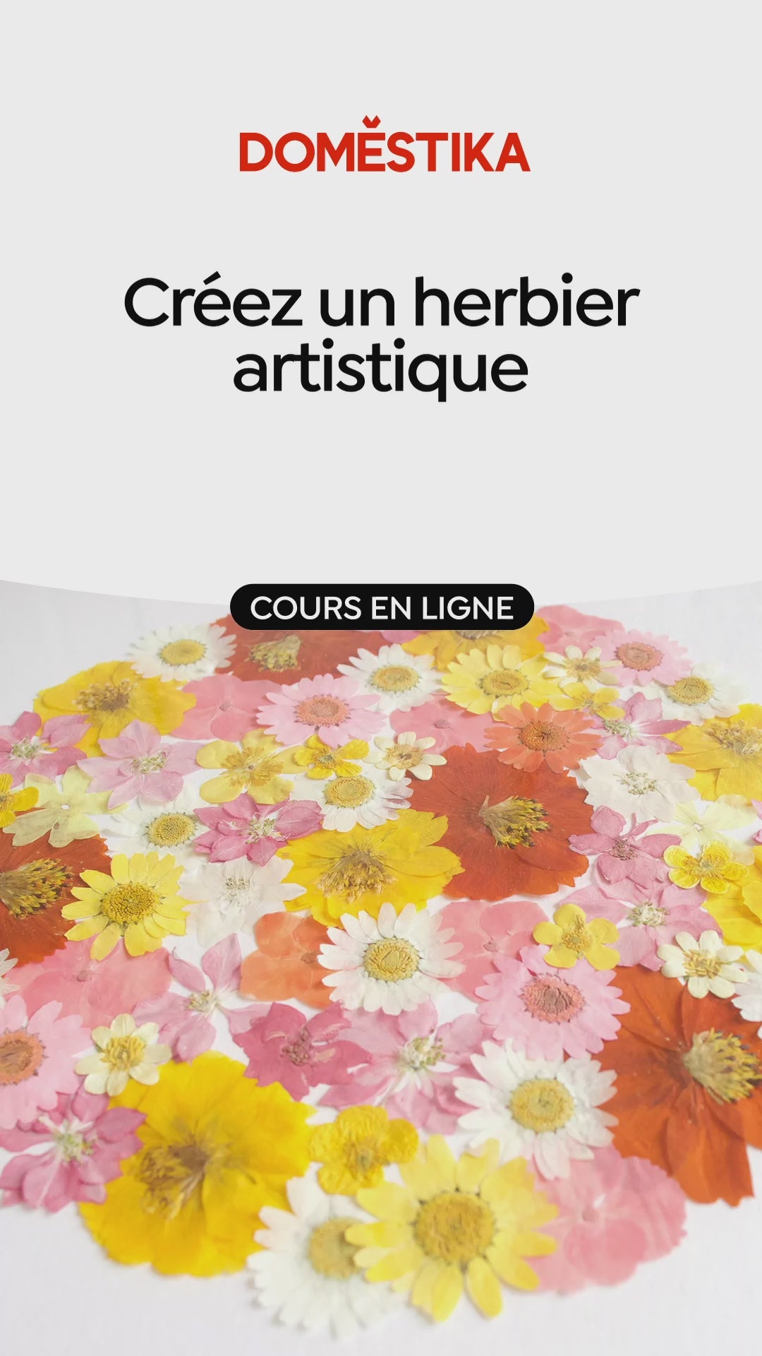 trailer cours domestika herbier colorés de A à Z