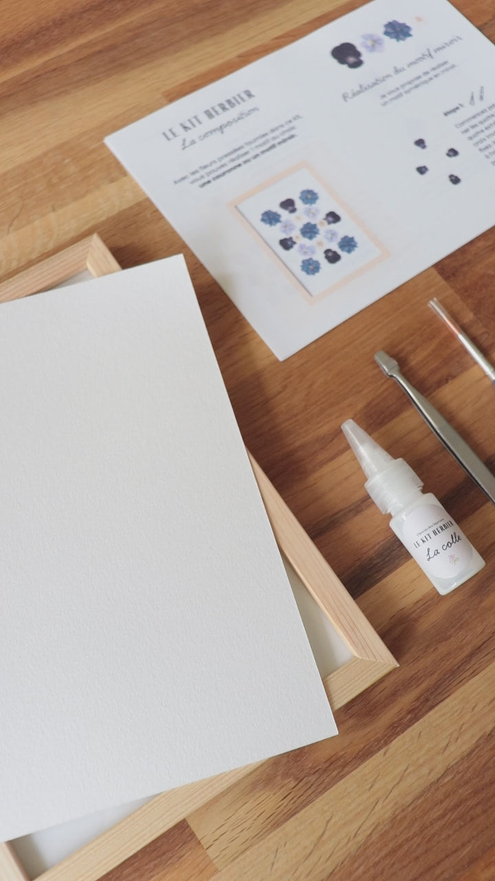 Kit DIY herbier - bleu