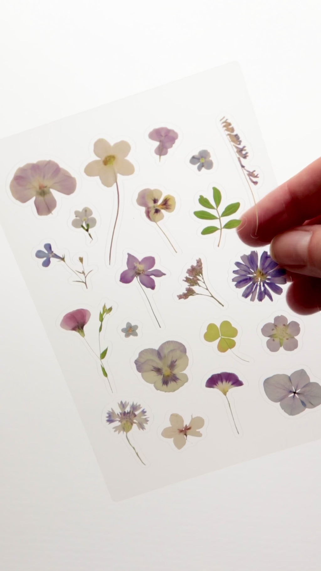 Planche de Stickers – Crépuscule